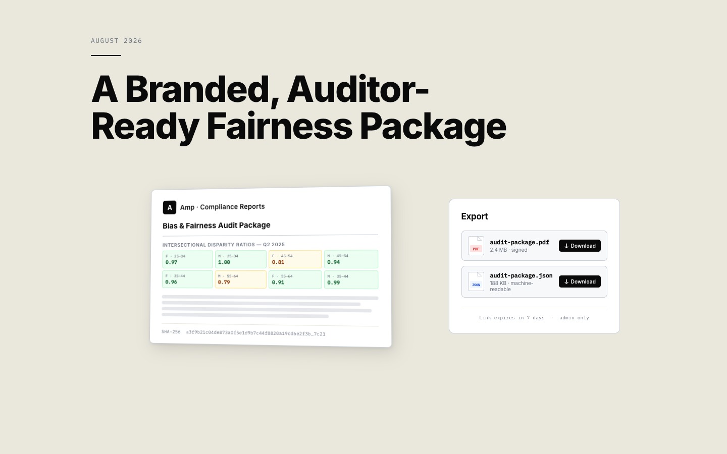 A branded, auditor-ready fairness package